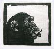 DSCF4631WCUTCHIMP