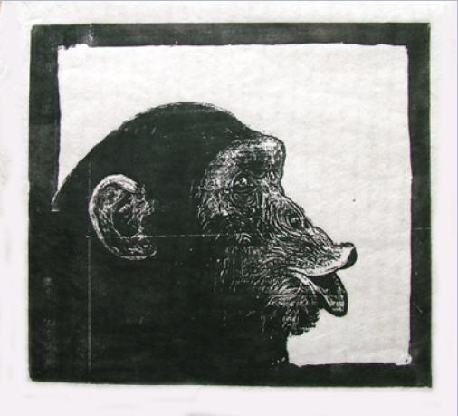 DSCF4631WCUTCHIMP