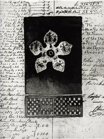 ETCHING96AQUAHERALDRYcopy