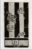 ETCHING96AQUATALONScopy1