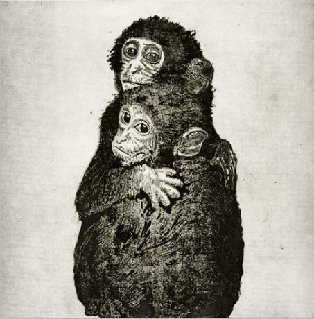 ETCHING97AQUATINTMONKEYcopy