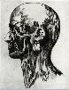 ETCHING98DRYPOINTHEADLcopy