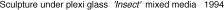 Sculpture under plexi glass 